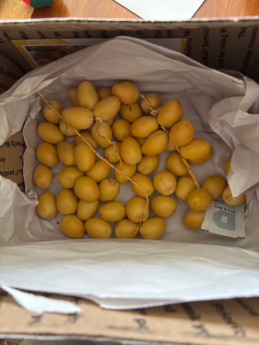 Customer photo review of Organic Yellow Barhi Dates (Khalal Barhi Dates)