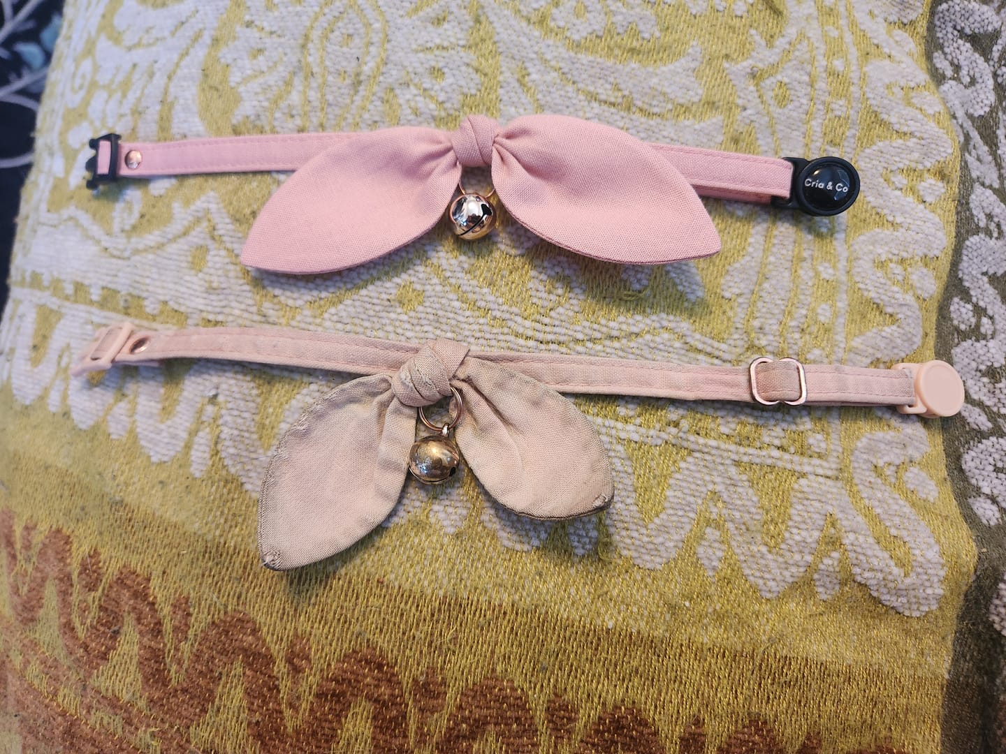 Customer photo review of Dusty Pink Bow Cat Collar