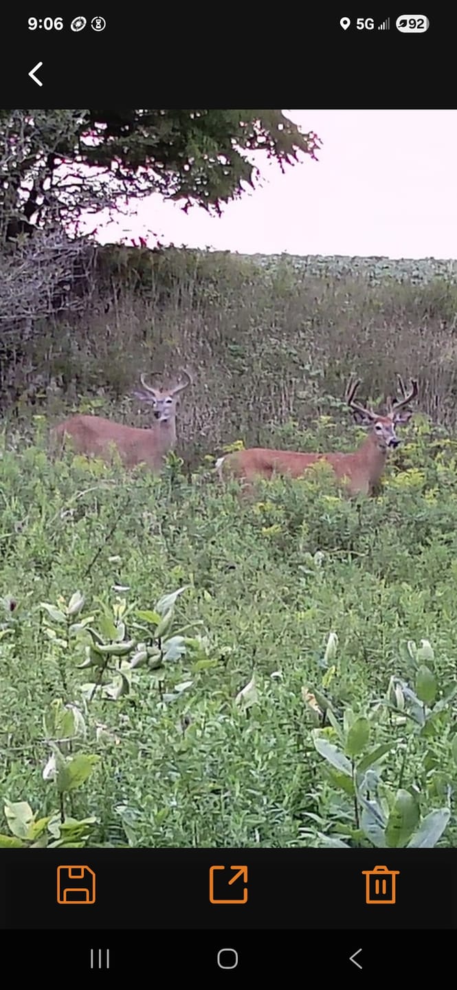 Customer photo review of GardePro X66 Pro Cellular Trail Camera