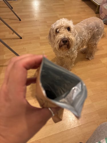 Customer photo review of Mushroom Gummies