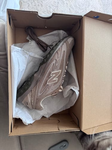 Customer photo review of New Balance 204L Mushroom Arid Stone