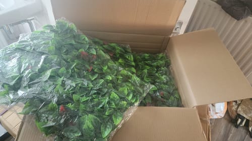 Customer photo review of Kunsthaag Photinia 60x40cm