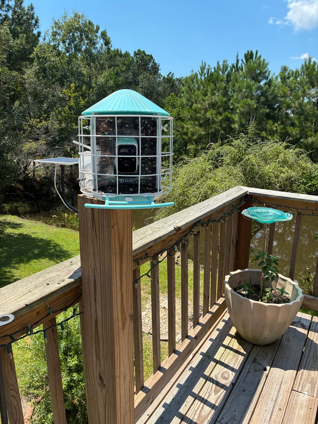 Customer photo review of Birdfy Shield - Bird Feeder Shield