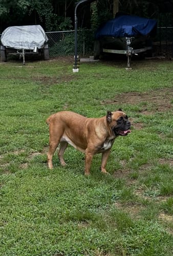 Customer photo review of Project 369 - MANIFESTATION BUNDLE