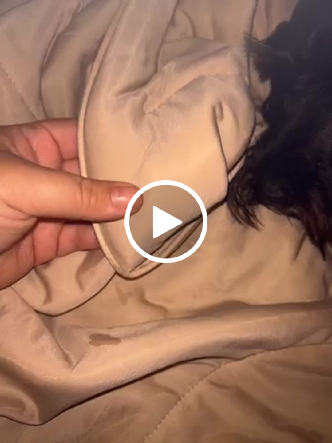 Customer video review of The Ice Blanket