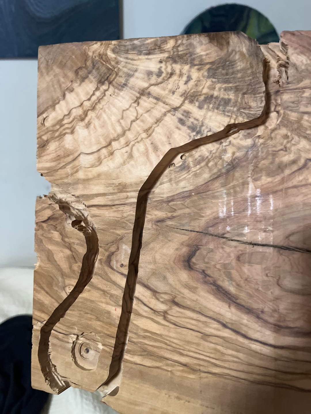 Customer photo review of Reusable Silicone Casting Epoxy Molds