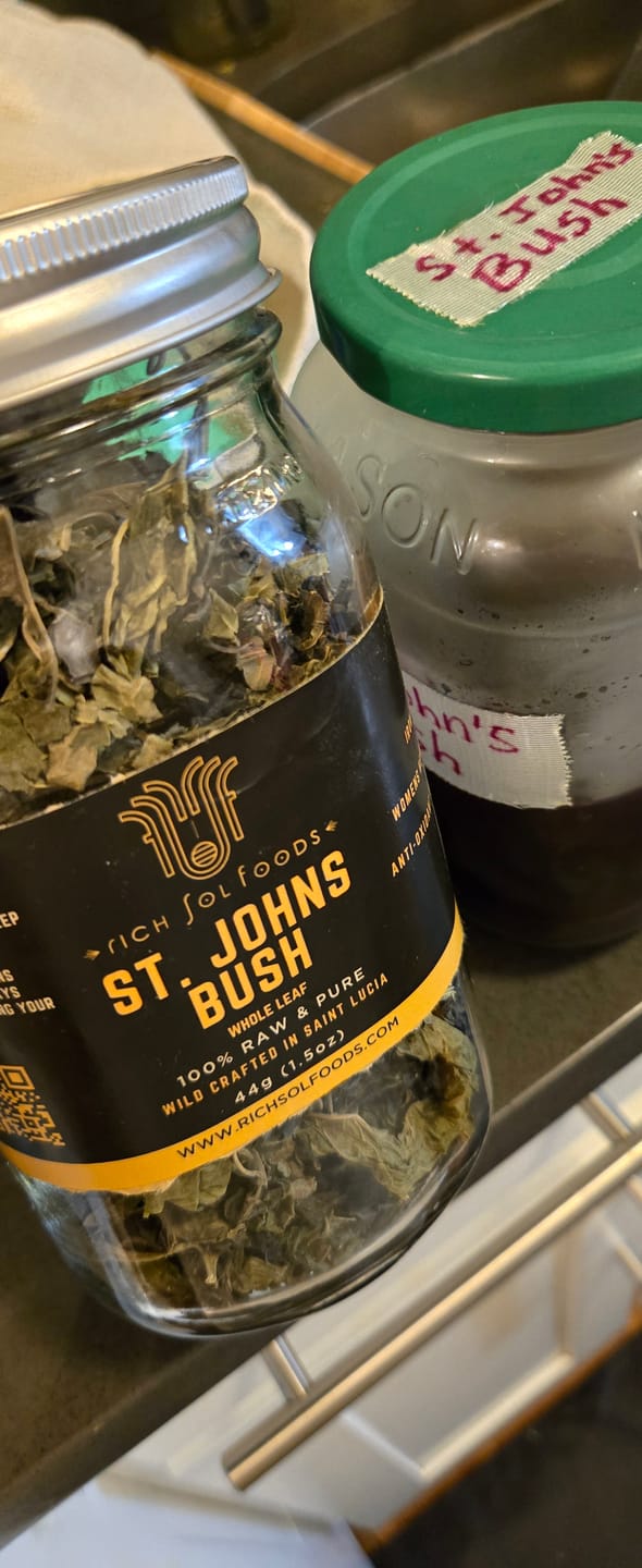 Customer photo review of St. Johns Bush