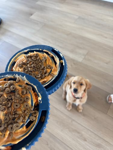 Customer photo review of FreezSwirl - Durable Stimulation Toy