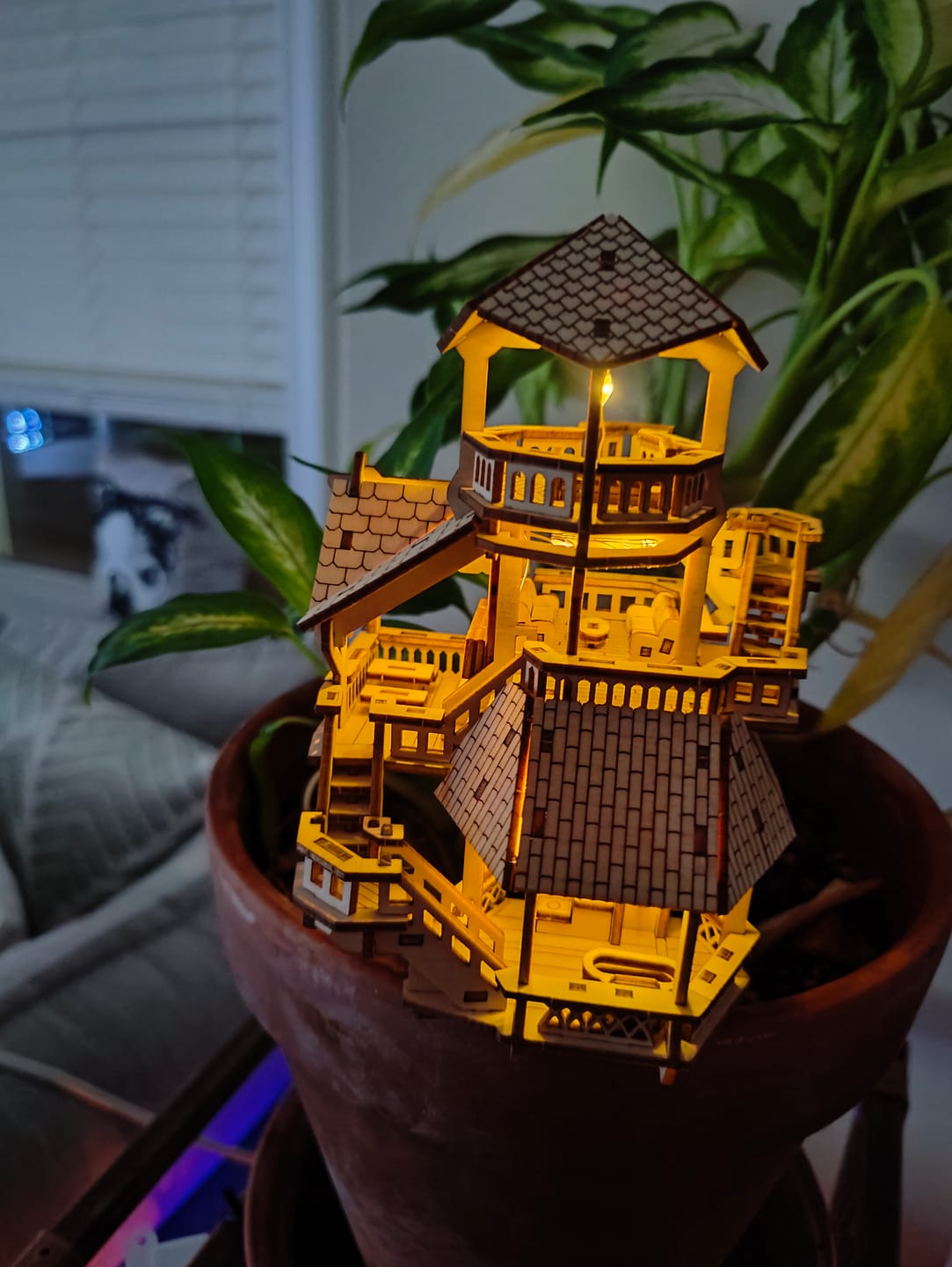 Forest Cottage