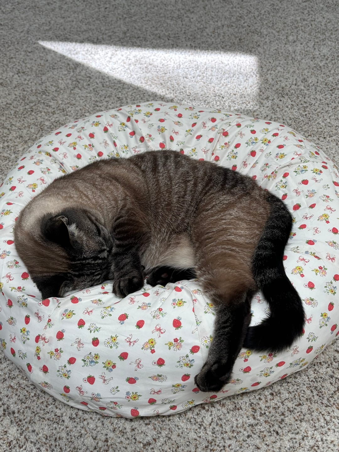 Customer photo review of Strawberry Jam Cover for Pudding Beds