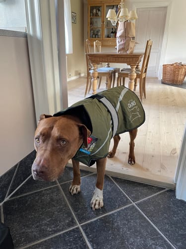 Customer photo review of Active Canis - 2-i-1 Hundejakke, khaki