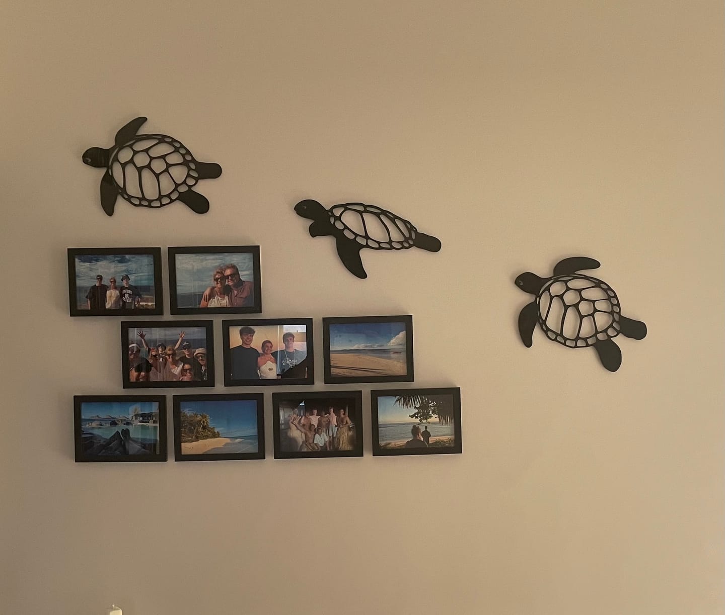 Customer photo review of Sea Turtle Wall Art Set