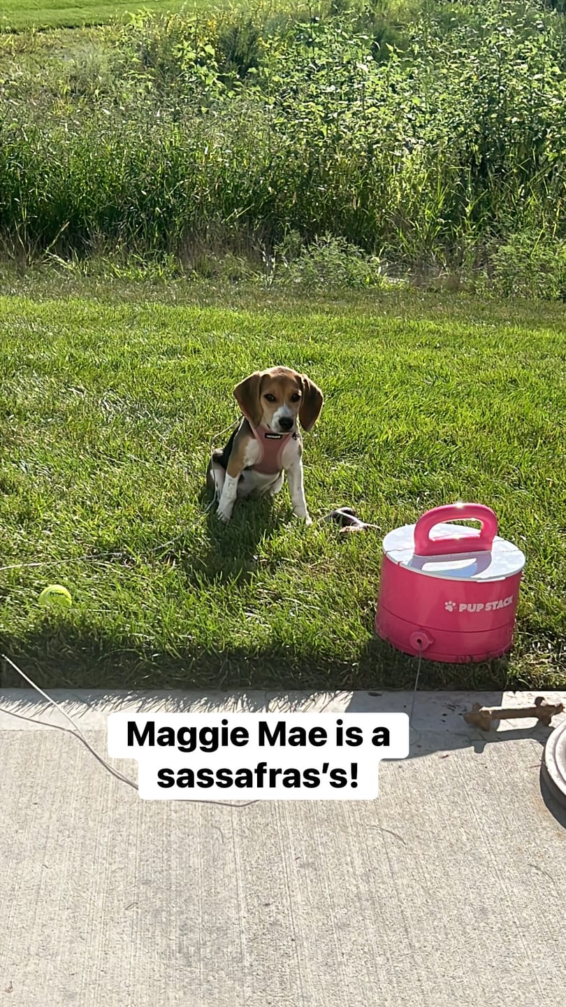 Customer photo review of Pup Stack