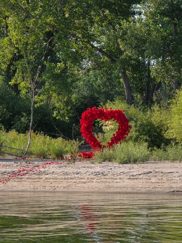Customer photo review of 8ft Romantic Atmosphere Heart Shaped Red Rose Flower Wall Wedding Decoration Indoor