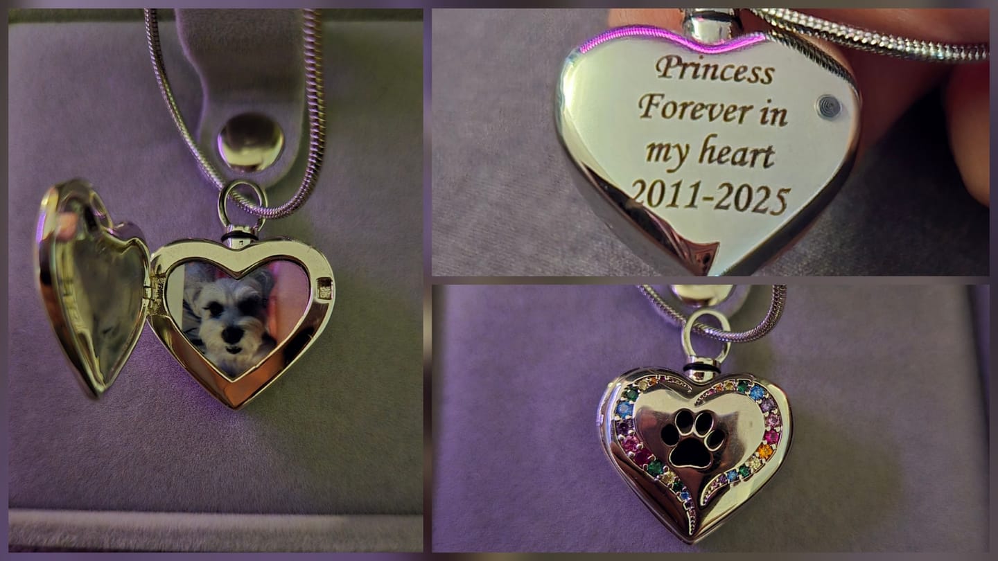 Customer photo review of Rainbow Bridge Pet Cremation Locket for Ashes