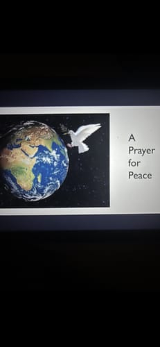 Customer photo review of Green Shipping Protection INSURANCE