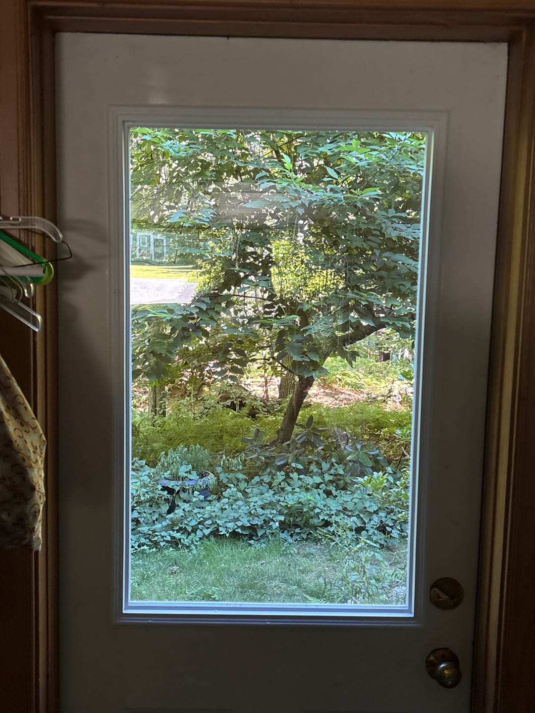 Customer photo review of Clear 1 Lite Glass and Frame Kit (Half Lite)