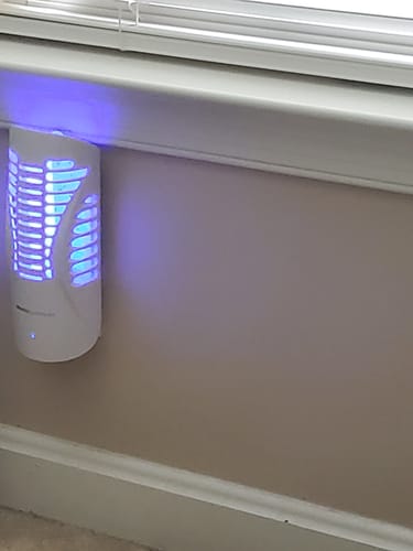 Customer photo review of Shieldeck® BuzzTrap – Smart Indoor UV Trap for Flies, Gnats, Mosquitoes, Fruit Flies & More