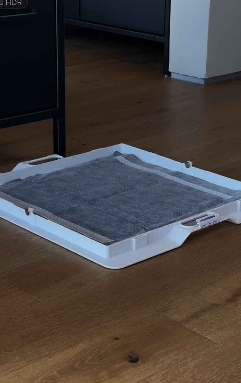 Customer photo review of Pee PAWD® Pee Pad holder