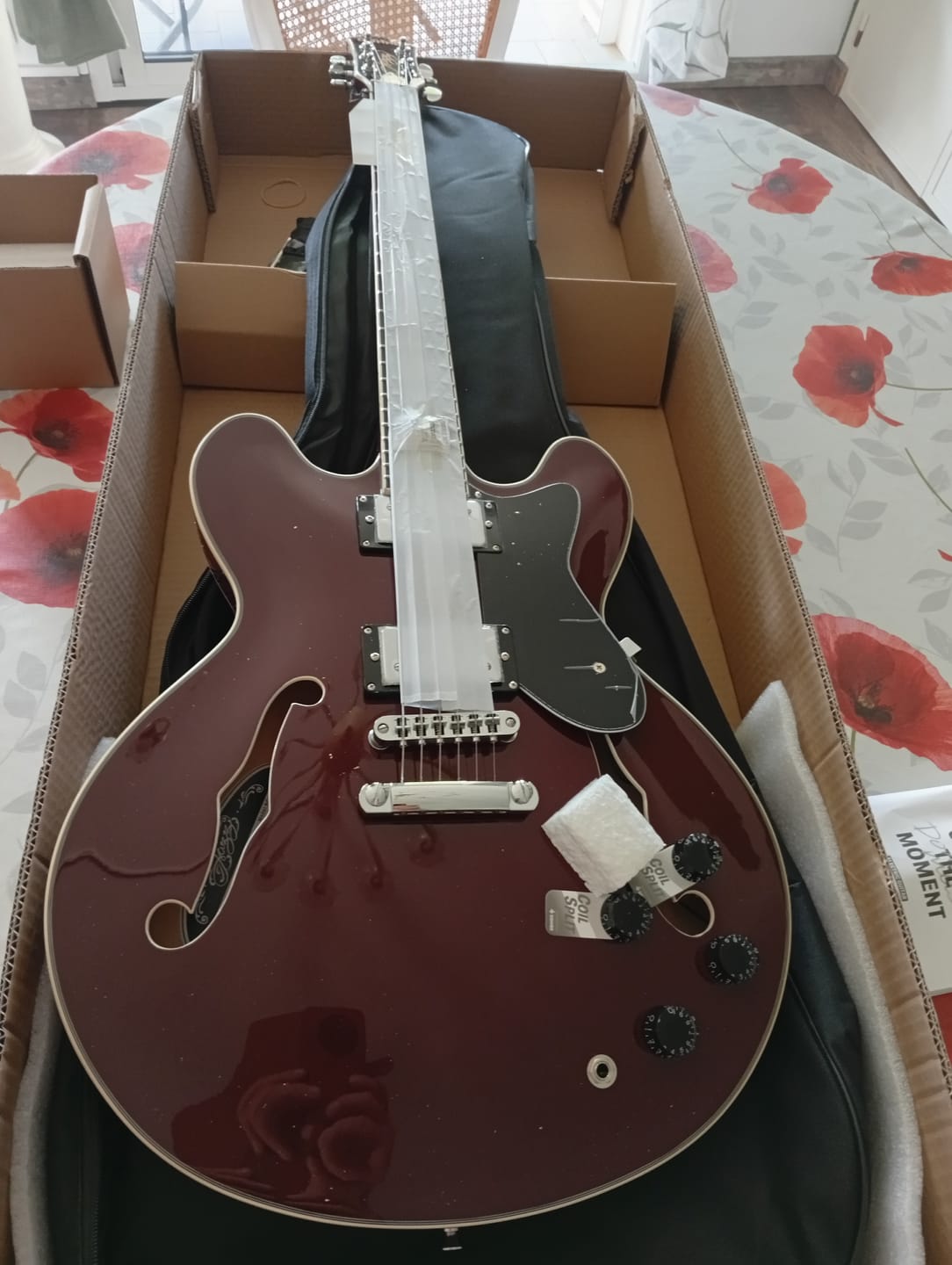 Customer photo review of Donner DJP-1000 Guitare Jazz Demi-Caisse