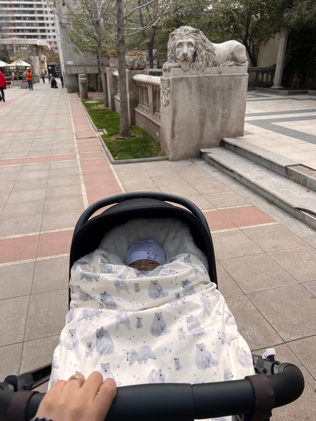 Customer photo review of Saco de Coche Osos Antu Baby