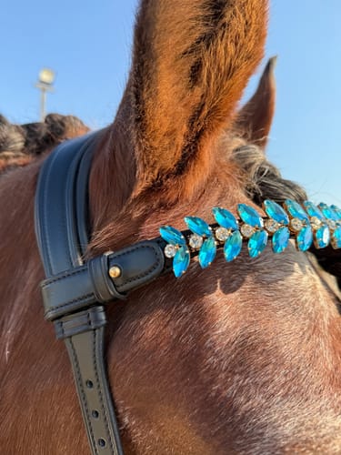 Customer photo review of Iris browband