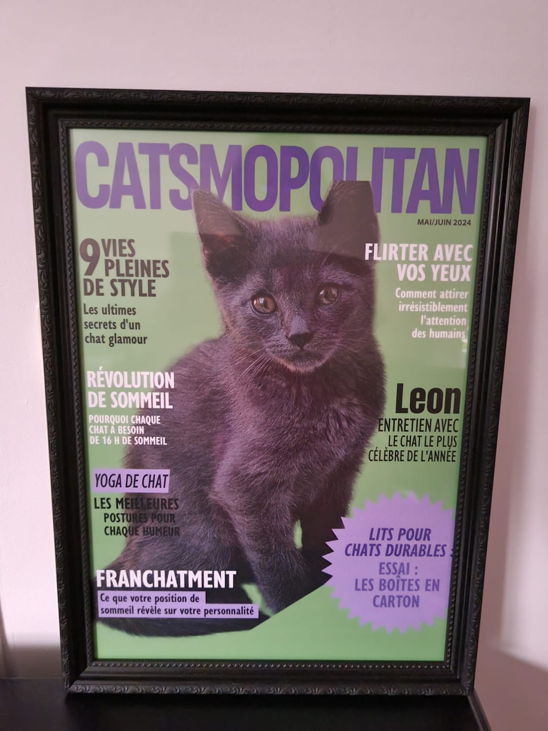 Customer photo review of Catsmopolitan - Poster personnalisé