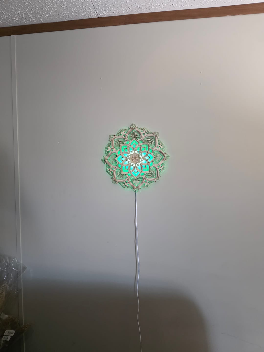 Customer photo review of Lotus Flower Mandala Light Lamp
