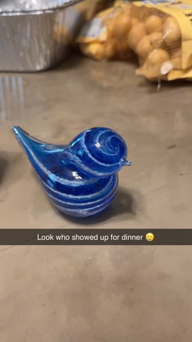 Customer photo review of Colorful Glass Birds with Cremation Ash
