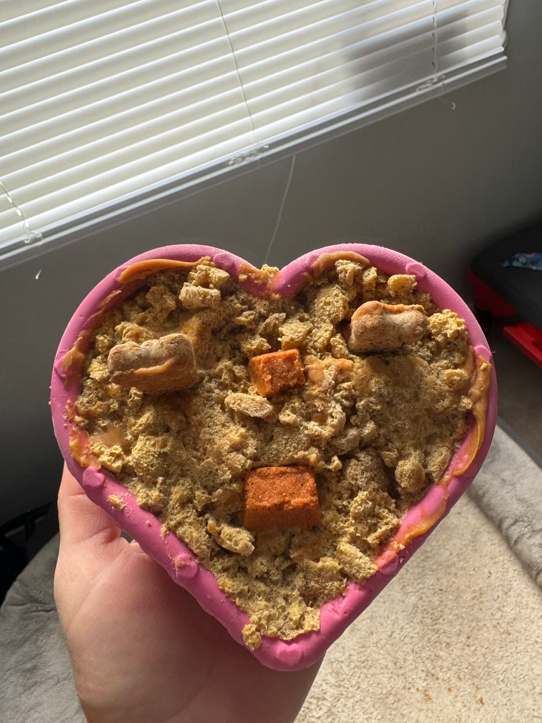 Customer photo review of FreezHeart - Durable Heart Enrichment Chew