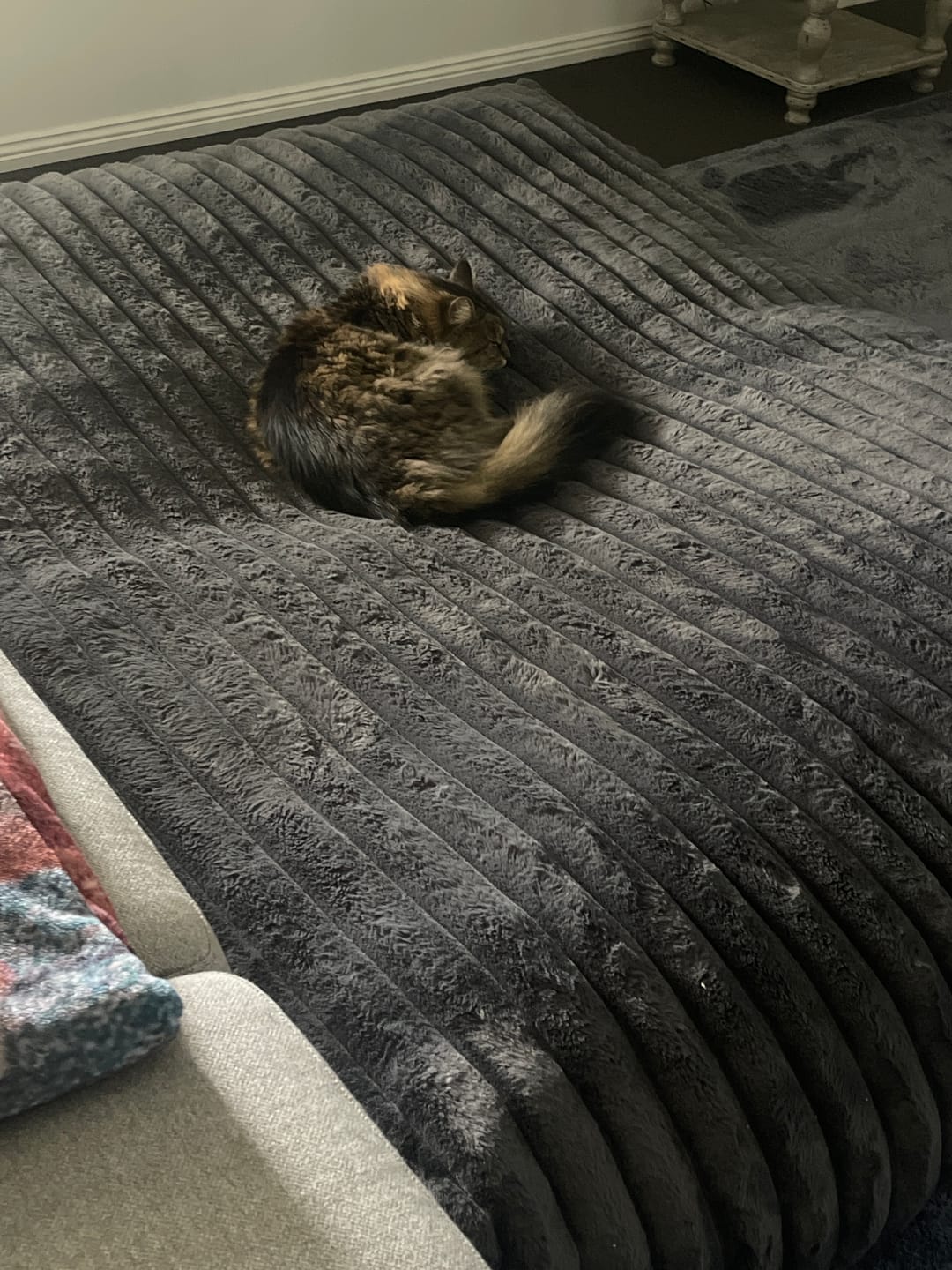 Customer photo review of Muscle Mat CloudPad