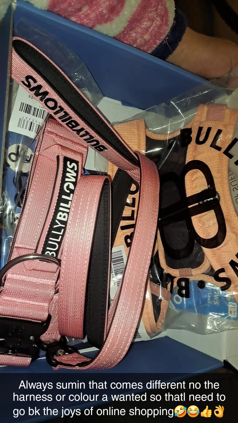 Customer photo review of 5cm Combat® Collar | With Handle & Secure Clip - Pink
