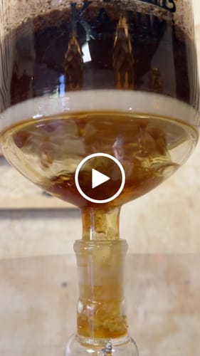 Customer video review of Kazumi Siphon Coffee Maker