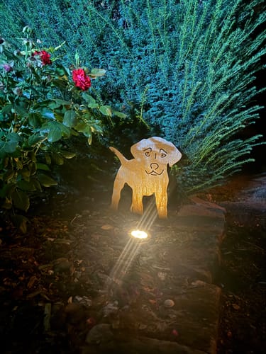 Customer photo review of Gartenstecker Labrador Welpe