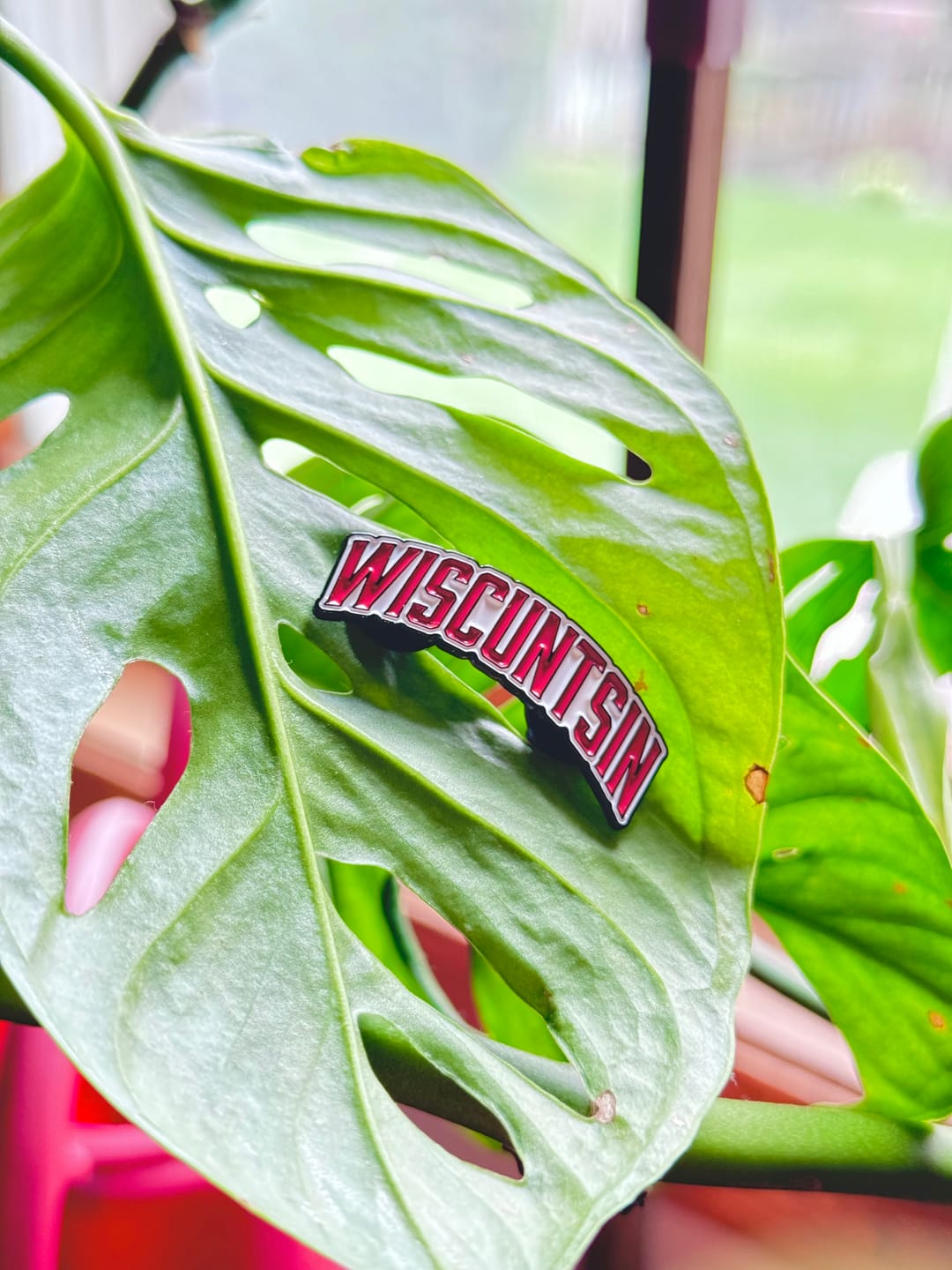 Customer photo review of Custom Enamel Pins