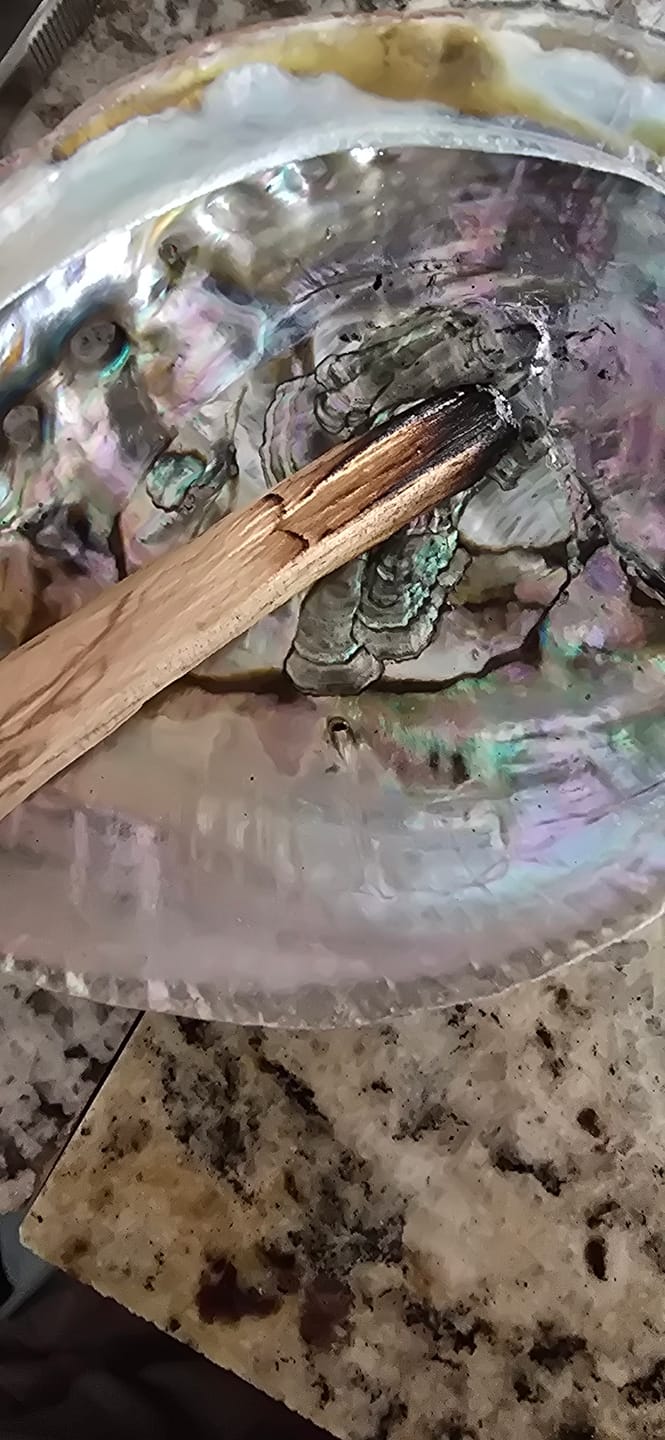Customer photo review of Palo Santo Smudging Sticks Premium 100 Grams (Approximately 15-20 Sticks)