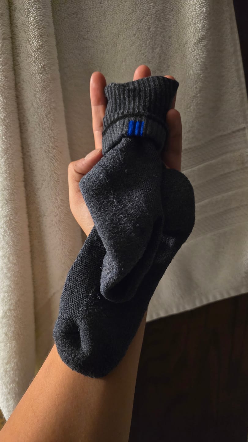 Customer photo review of Bluepacca Alpaca Socks Set