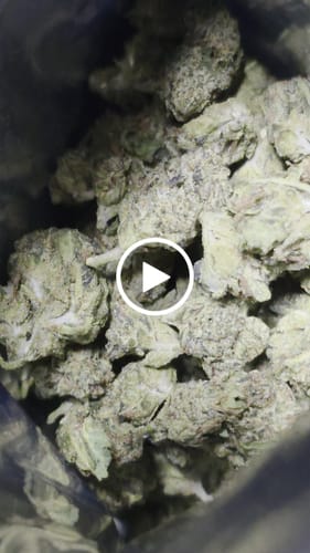 Customer video review of Shipping Protection by Route