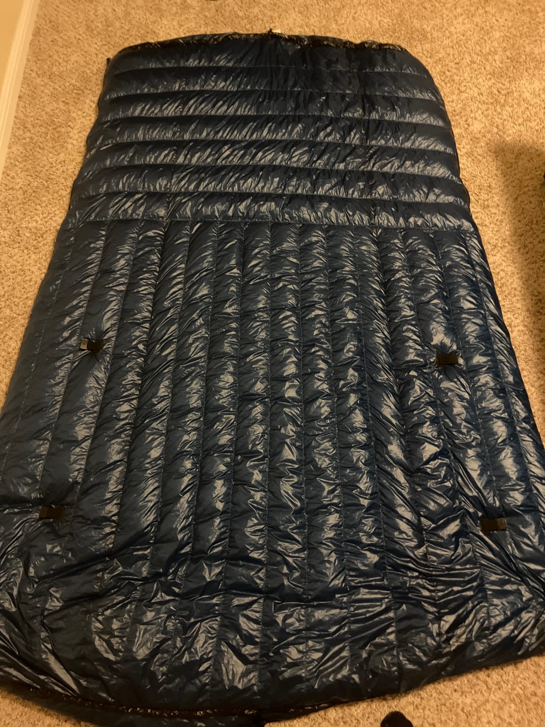 Customer photo review of Waratah