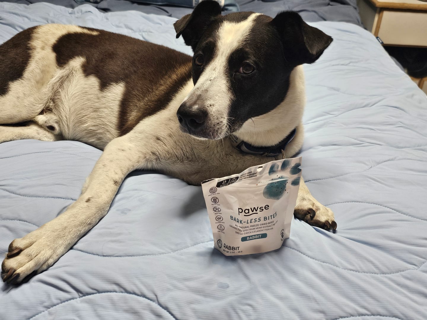 Customer photo review of Trial Sampler