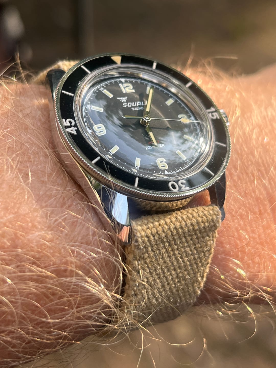 Customer photo review of Desert Tan Canvas
