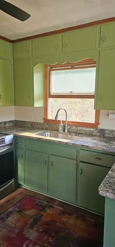 Customer photo review of Miracle Paint - English Boxwood (32 oz.)