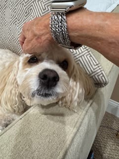 Customer photo review of Goddess of Beauty Watch Band for Apple Watch