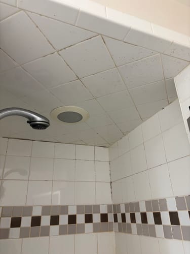 Customer photo review of Ultimate Shower Bundle