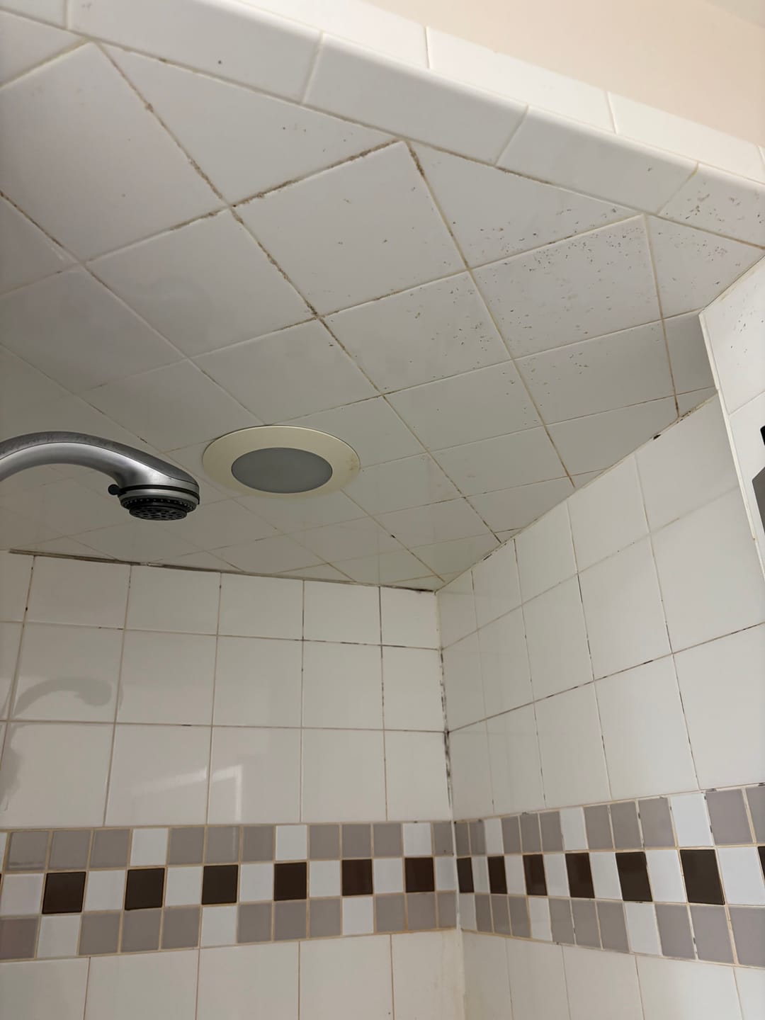 Customer photo review of Ultimate Shower Bundle