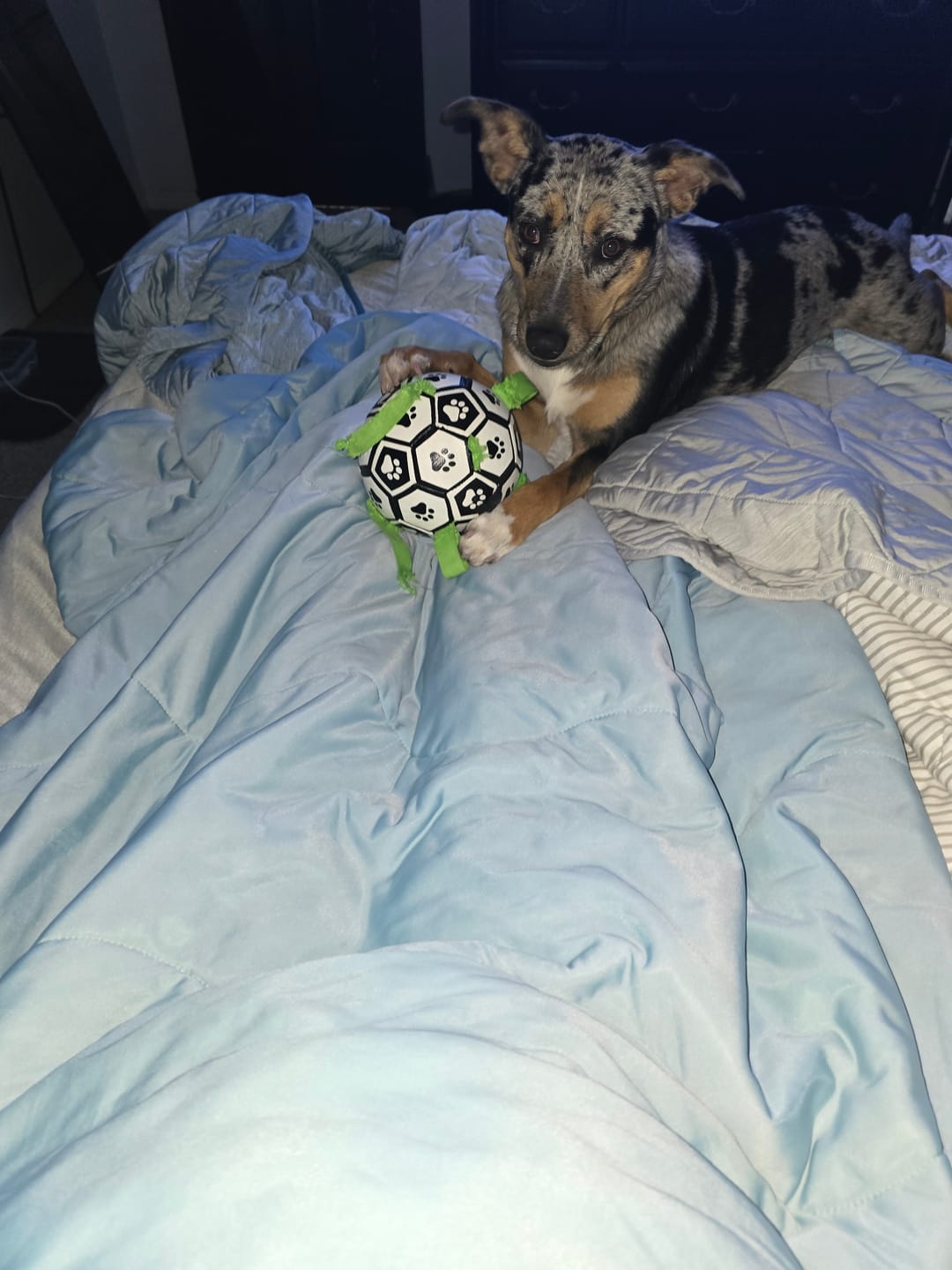 Customer photo review of The Ice Blanket