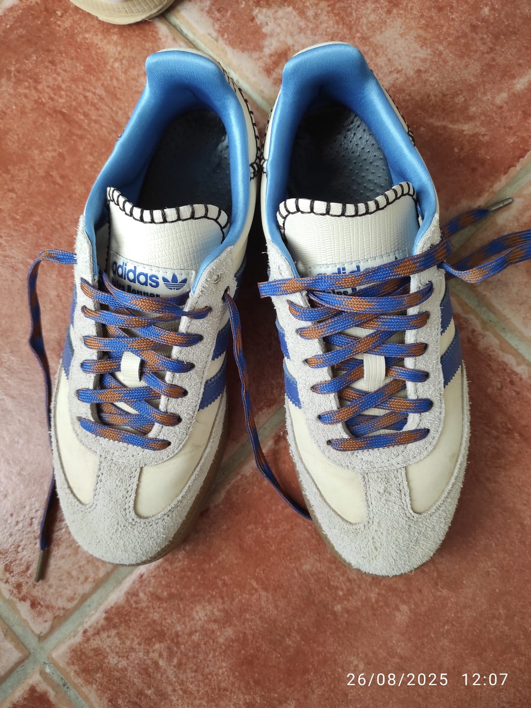Customer photo review of Adidas Samba Nylon Wales Bonner Wonder clay royal