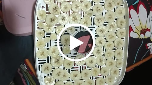 Customer video review of Lot Imported Nature 6 Trays Food Dehydrator with Timer