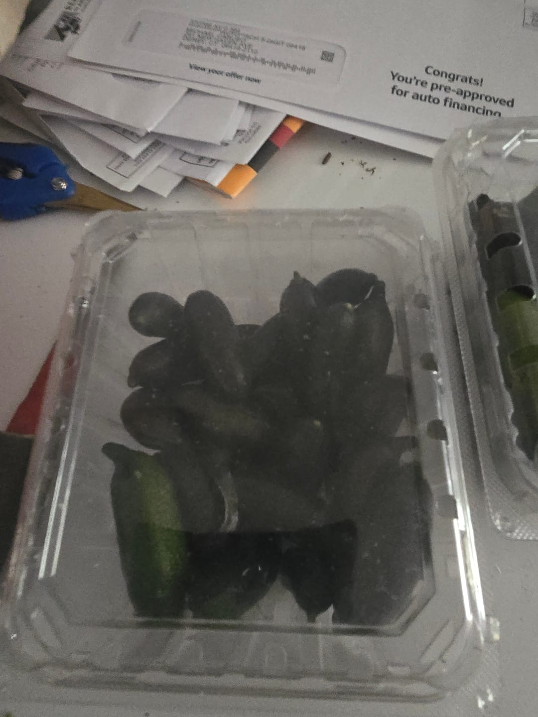 Customer photo review of Caviar Lime (Finger Lime)