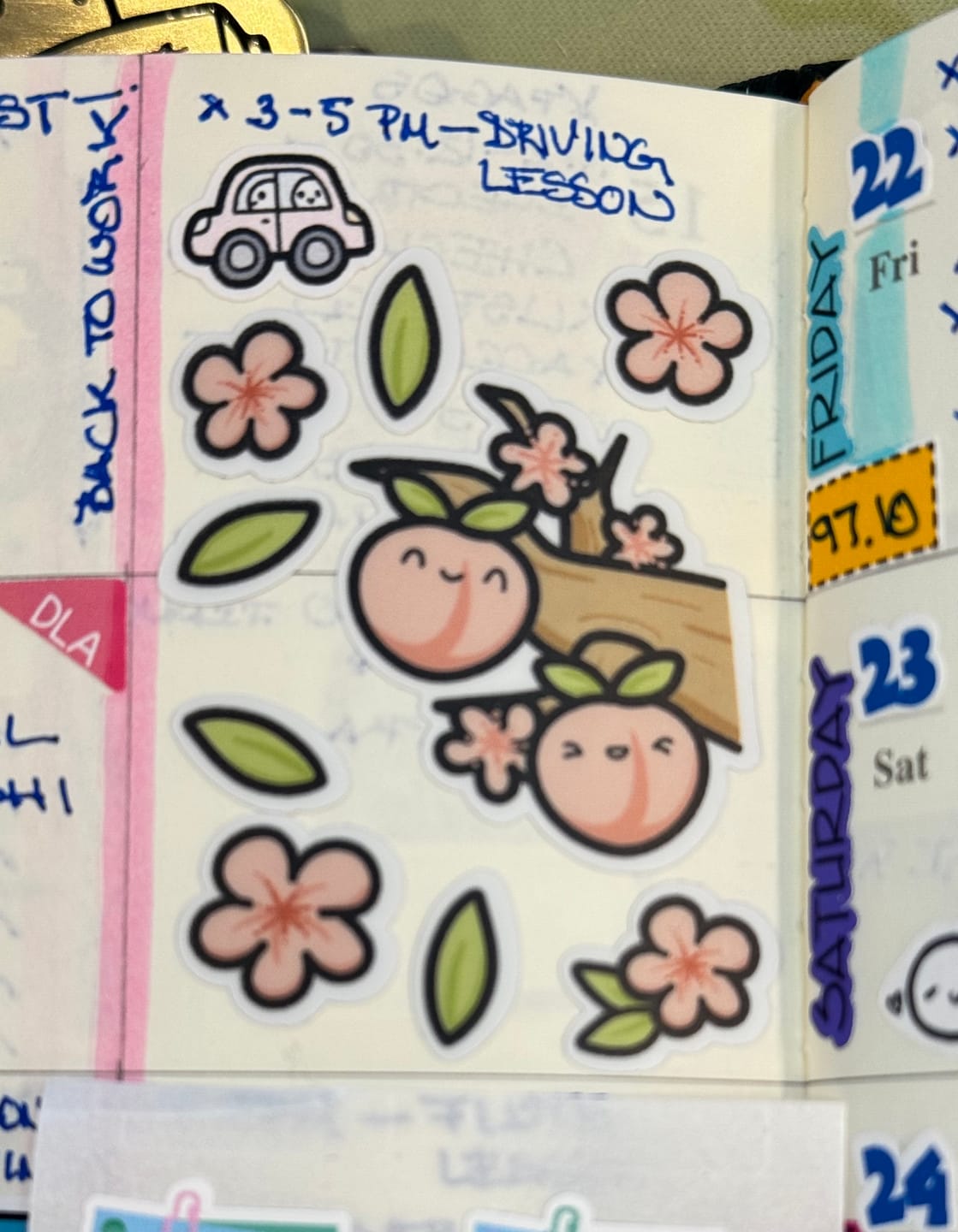 Customer photo review of Hobonichi Subscription